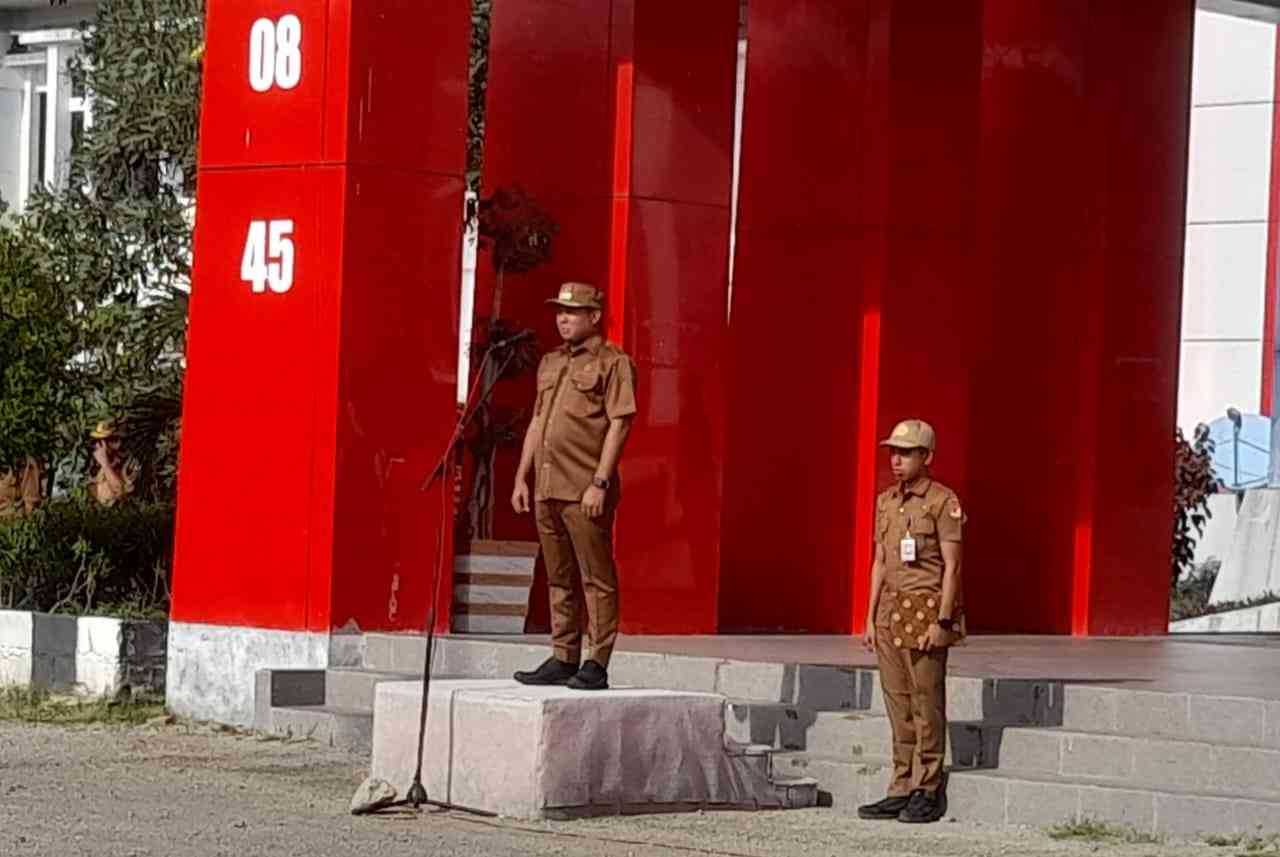 Bupati Sikka Tegaskan, Dokter Anastesi RSUD dr. T.C. Hillers Ada